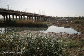 فاجعه زیست‌محیطی