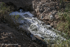 فاجعه زیست‌محیطی