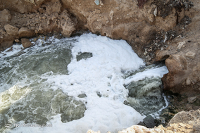 فاجعه زیست‌محیطی
