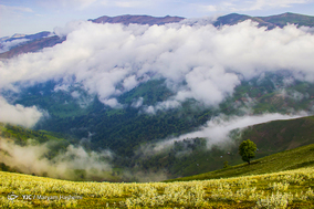 ییلاق زیبای اولسبلنگاه ماسال
