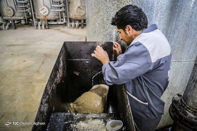 احیای دومین کارخانه تصفیه قند کشور در ورامین