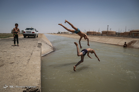 آب تنی در کانال