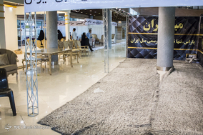 واقع در بوستان گفتگو