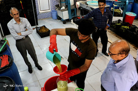 فصل آبغوره گیری در شیراز
