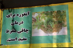 فصل آبغوره گیری در شیراز
