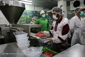 بازدید خبرنگاران از واحد صنعتی بسته بندی گوشت و مرغ