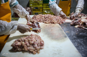 بازدید خبرنگاران از واحد صنعتی بسته بندی گوشت و مرغ