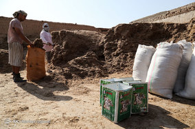 گاومیش داران