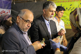 جشنواره ملی آش در زنجان