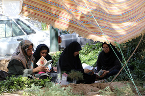 مراسم دعای عرفه در تپه نورالشهدا شیراز