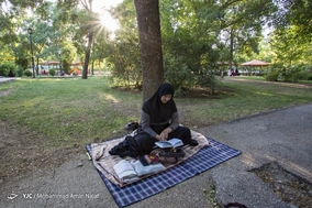 مراسم دعای عرفه در جوار مزار شهدای همدان