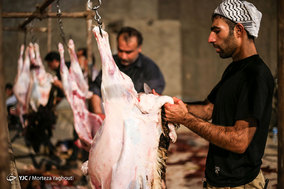 ذبح ۴۶ راس گوسفند و توزیع آن توسط موسسه خیریه شهدای مدافع حرم اهواز در شب عید مبارک قربان