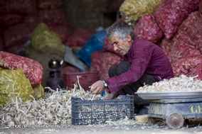 دومین جشنواره سیر و موسیر سولان همدان