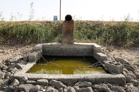 مرگ ماهیان در خرمشهر
