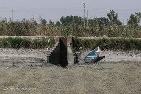 مرگ ماهیان در خرمشهر