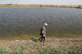 مرگ ماهیان در خرمشهر