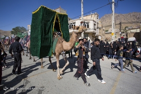 ورود نمادین کاروان امام حسین (ع) به کربلا