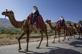 ورود نمادین کاروان امام حسین (ع) به کربلا