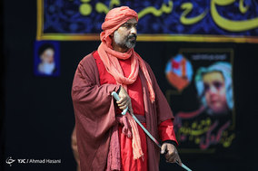 همایش شیرخوارگان حسینی در حرم مطهر امام رضا (ع) - مشهد