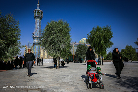 همایش شیرخوارگان حسینی  در قم