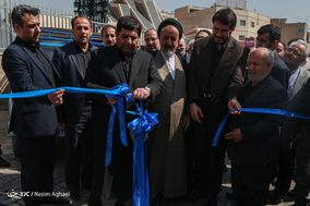 پویش مشق عشق
