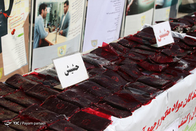 طرح رعد ۱۶ پلیس پیشگیری پایتخت