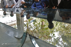 معاینه کودکان کار در بیمارستان مفید