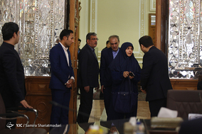 دیدار هیات پارلمانی فرانسه با رئیس مجلس