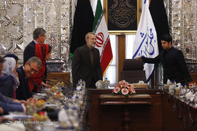 دیدار هیات پارلمانی فرانسه با رئیس مجلس