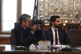 دیدار هیات پارلمانی فرانسه با رئیس مجلس