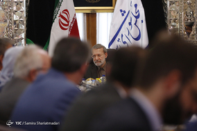 دیدار هیات پارلمانی فرانسه با رئیس مجلس