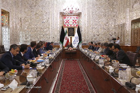 دیدار هیات پارلمانی فرانسه با رئیس مجلس