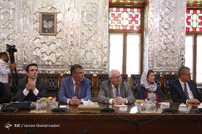 دیدار هیات پارلمانی فرانسه با رئیس مجلس