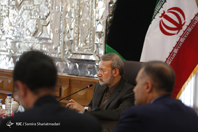 دیدار هیات پارلمانی فرانسه با رئیس مجلس