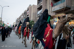 عزاداران زائرین اربعین حسینی در شهر سماوه