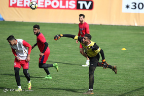 تمرین تیم فوتبال پرسپولیس