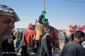 راهپیمایی زائرین اربعین حسینی در جاده نجف به کربلا