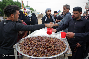راهپیمایی عظیم اربعین حسینی - طریق نجف به کربلا