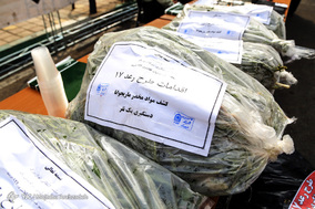 طرح رعد ۱۷ پلیس پیشگیری تهران بزرگ