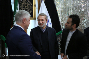 دیدار رئیس مجلس شورای اسلامی با رئیس کمیسیون امنیت و مبارزه با ارتشاء دومای دولتی روسیه