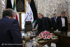 دیدار رئیس مجلس شورای اسلامی با رئیس کمیسیون امنیت و مبارزه با ارتشاء دومای دولتی روسیه