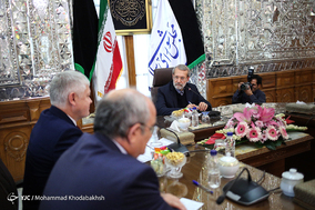 دیدار رئیس مجلس شورای اسلامی با رئیس کمیسیون امنیت و مبارزه با ارتشاء دومای دولتی روسیه