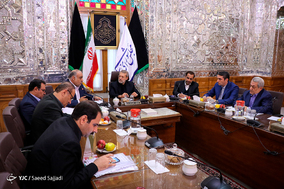 دیدار استانداران غرب کشور با رئیس مجلس شورای اسلامی
