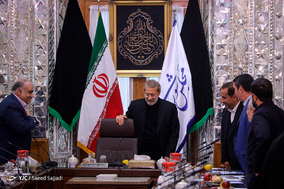 دیدار استانداران غرب کشور با رئیس مجلس شورای اسلامی