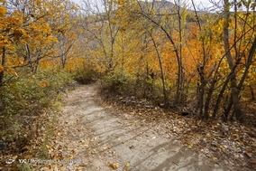 طبیعت پاییزی همدان