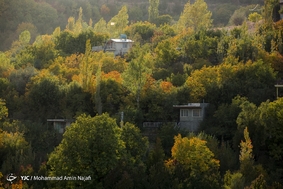 طبیعت پاییزی همدان