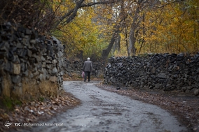 طبیعت پاییزی همدان