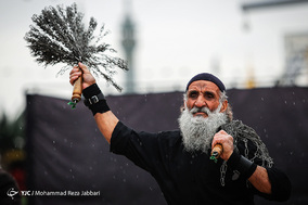 عزاداری 28صفر در قم