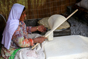 برداشت انار از باغات ارسنجان فارس