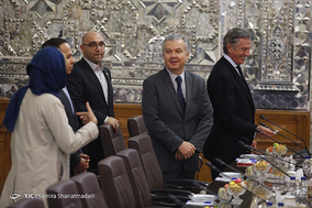 دیدار هیأت پارلمانی برزیل با رئیس مجلس